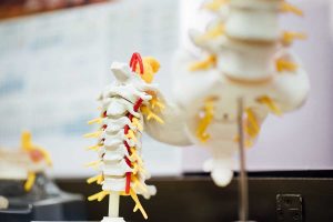 Osteoporosis: ¿Qué es?, causas, síntomas y tratamientos