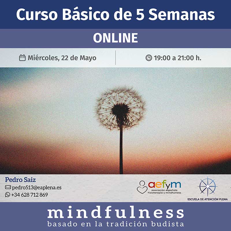 Curso Mindfulness Online