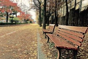 La práctica del silencio