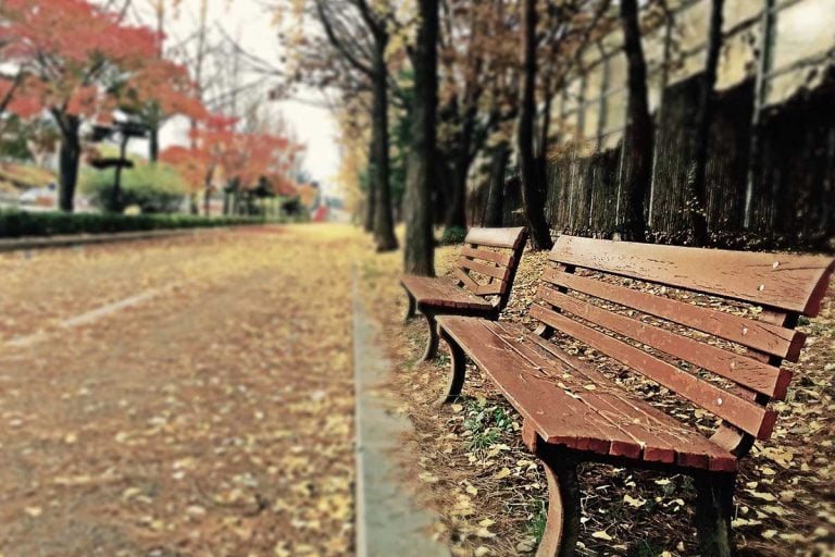 La práctica del silencio