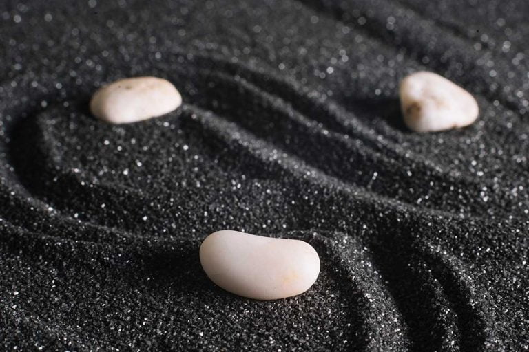 El camino del budismo zen